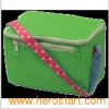Cooler Bag (MS3089)