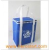 PP Non-Woven Cooler Bag (HBCOO-012)