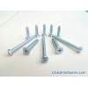 Self Tapping Screw