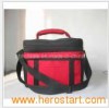 Cooler Bag (HS-TCB42)
