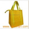 Non-Woven Cooler Bag