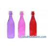 glass bottle (919)