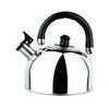 Offer the stainless steel kettle
