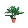 offer artificial evergreen plant
