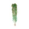 offer bamboo tree