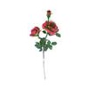 offer rose flower