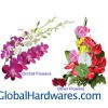 We Are Grower, Supplier & Exporter Of Orchid Flowers And Var