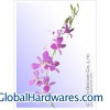 We Sell Orchid Flowers In Lowest Price From Thailand