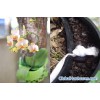Friendly environmentally pot,flower pot,plant container,orchid pot