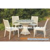 Rattan Furniture (BP-372)