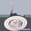 Downlight