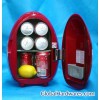 Portable Fridge