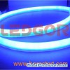 LED Neon Flex (220V 110V 24V 12V)