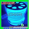 Led neon flex 220V 110V