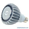 8W PAR30 Lamp