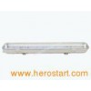 Fluorescent Light /Fluorescent Lighting (T8FH9118)