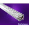 LED fluorometry light