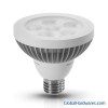 10W PAR30 LED Lamp