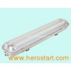 Fluorescent Lamp (T8FH9218)