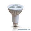 3W PAR16 LED Lamp