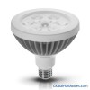 15W PAR38 LED Lamp