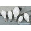 High pressure mercury lamp