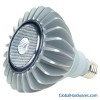 10W PAR38 Lamp