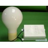Electrodeless Discharge Lamp