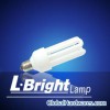 Energy Saving Lamp