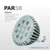 PAR38-15W