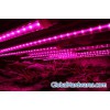 T8 4Feet Led Grow Light Tube