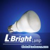 Energy saving bulb
