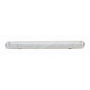 Fluorescent Light (T8FH9136)