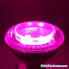 LED Grow Lights