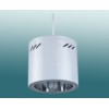 Referector Down Light