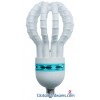 Sell energy saving lamp-lotus