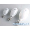 Self-Ballasted Fluorescent High Pressure Mercury Lamp