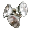 Sell PAR30 halogen lamp
