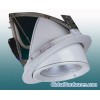 Metal Halide Down Light (J13)