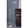 FLOOR LAMP AND DESK LAP