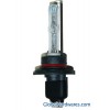 HID Xenon Light Source (9005)