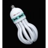 Energy Saving Lamp--Lotus