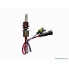 HID Xenon Lamp (HID H6)