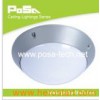 Bulkhead Light (PS-OL1066A)