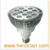LED Spot Light/High Power LED Lamp (PAR38-12*1W)