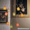 Nobio Light Sets