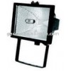 Halogen Flood Light