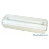 Single Tube Emergency Lamp (LX-604)