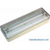 Single Tube Emergency Lamp (LX-601)