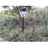 supplying solar garden lamp SG-185